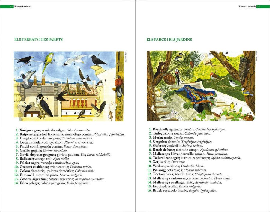 Guia de natura de Barcelona sample page